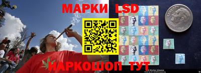 ГАЛЛЮЦИНОГЕННЫЕ ГРИБЫ Тверь