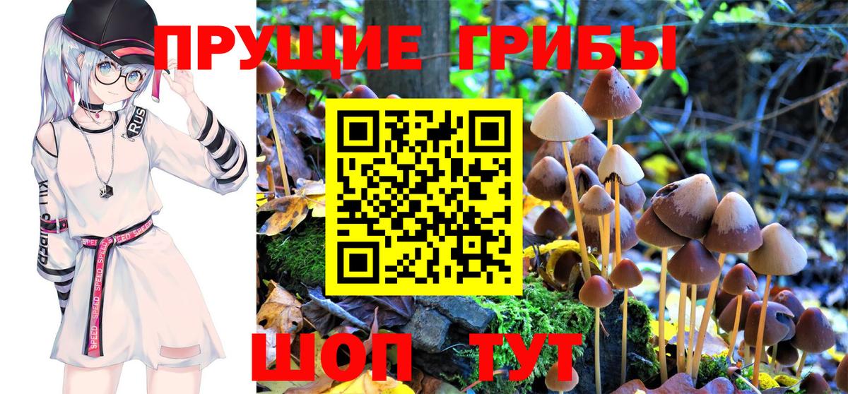 Псилоцибиновые грибы мицелий  Вход с VPN  Псилоцибиновые грибы Magic Shrooms  Нурлат 