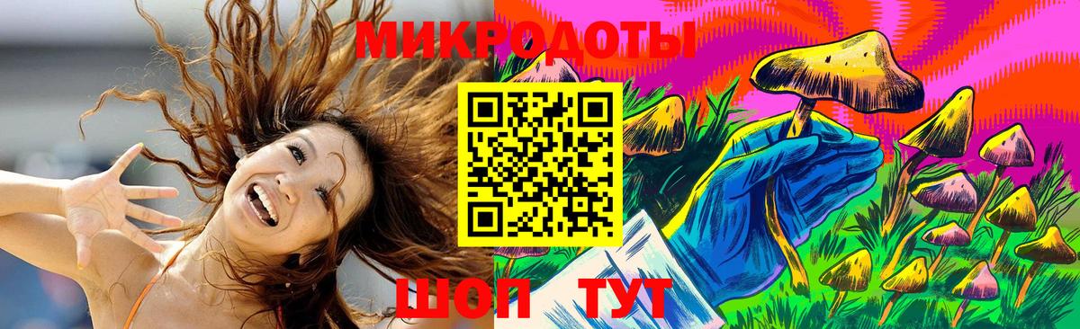 Псилоцибиновые грибы Cubensis Нурлат